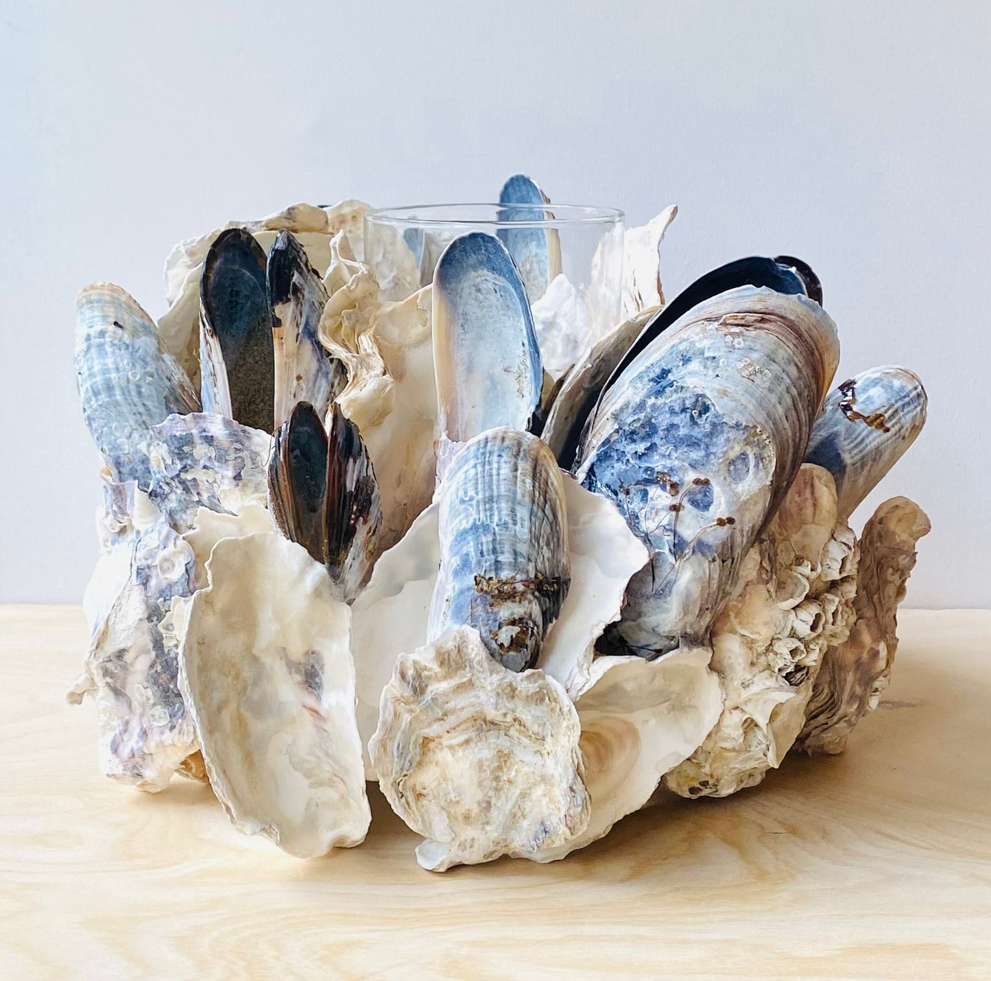 Mussel & Oyster Shell Candle Holder, Centerpiece