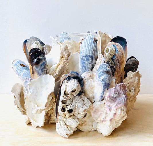 Mussel & Oyster Shell Candle Holder, Centerpiece