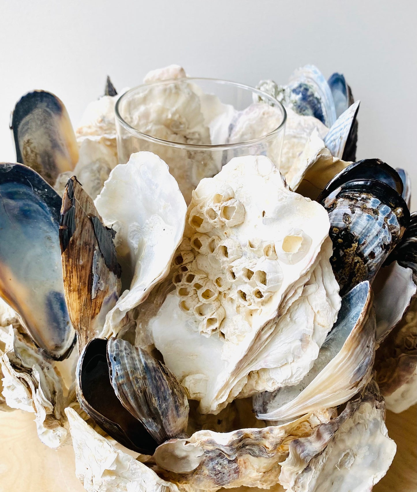 Mussel & Oyster Shell Candle Holder, Centerpiece
