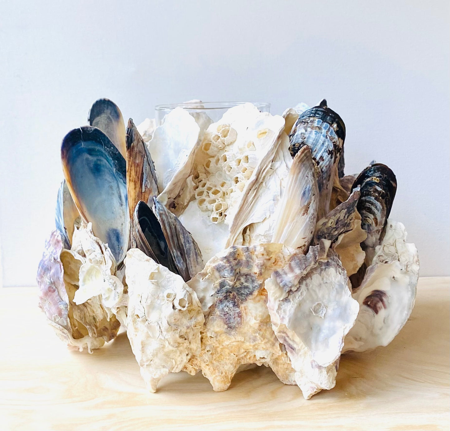 Mussel & Oyster Shell Candle Holder, Centerpiece