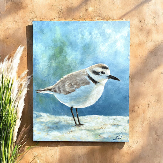 Western Snowy Plover Original Painting