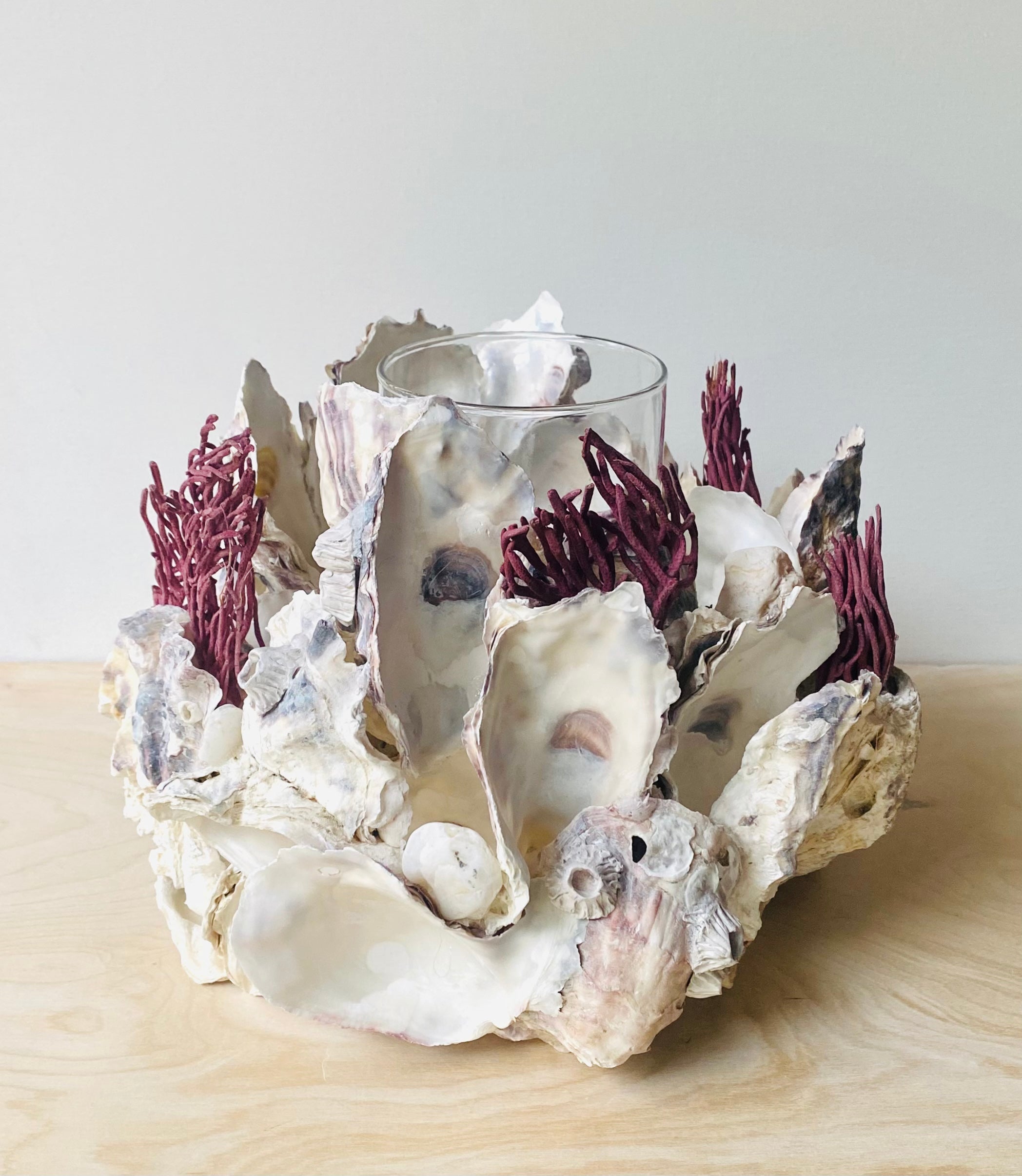 Oyster Shell, Coral & Hand Sculpted Barnacles, Shell Candle Holder