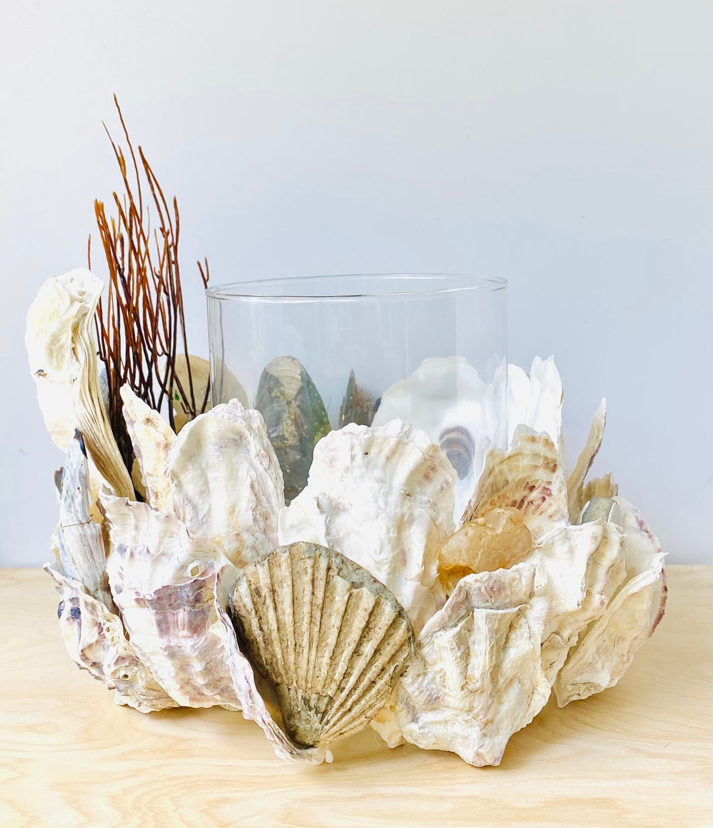 Large Shell Candle Holder, Oyster, Mussels & Fossil