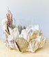Large Shell Candle Holder, Oyster, Mussels & Fossil