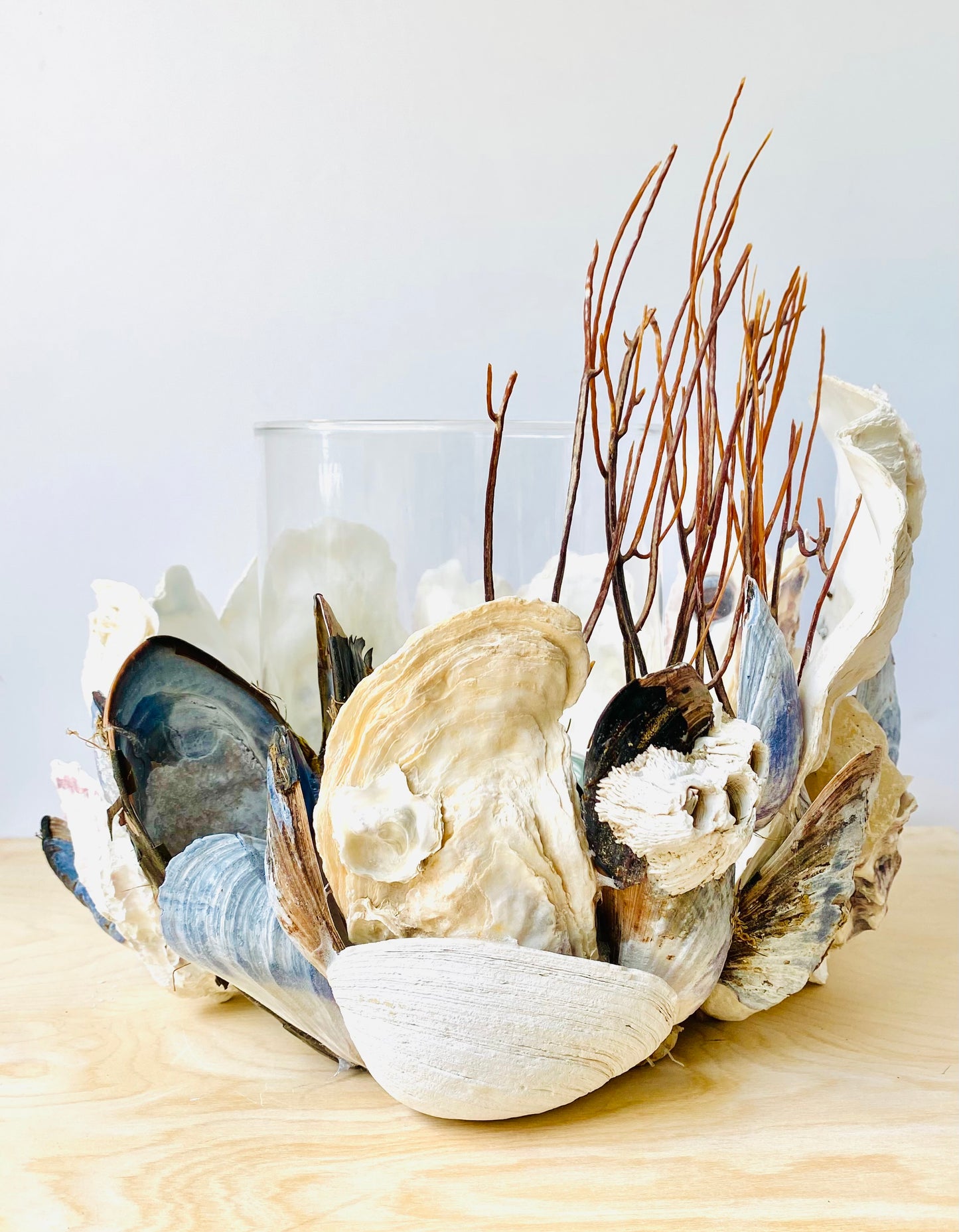 Large Shell Candle Holder, Oyster, Mussels & Fossil