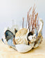 Large Shell Candle Holder, Oyster, Mussels & Fossil