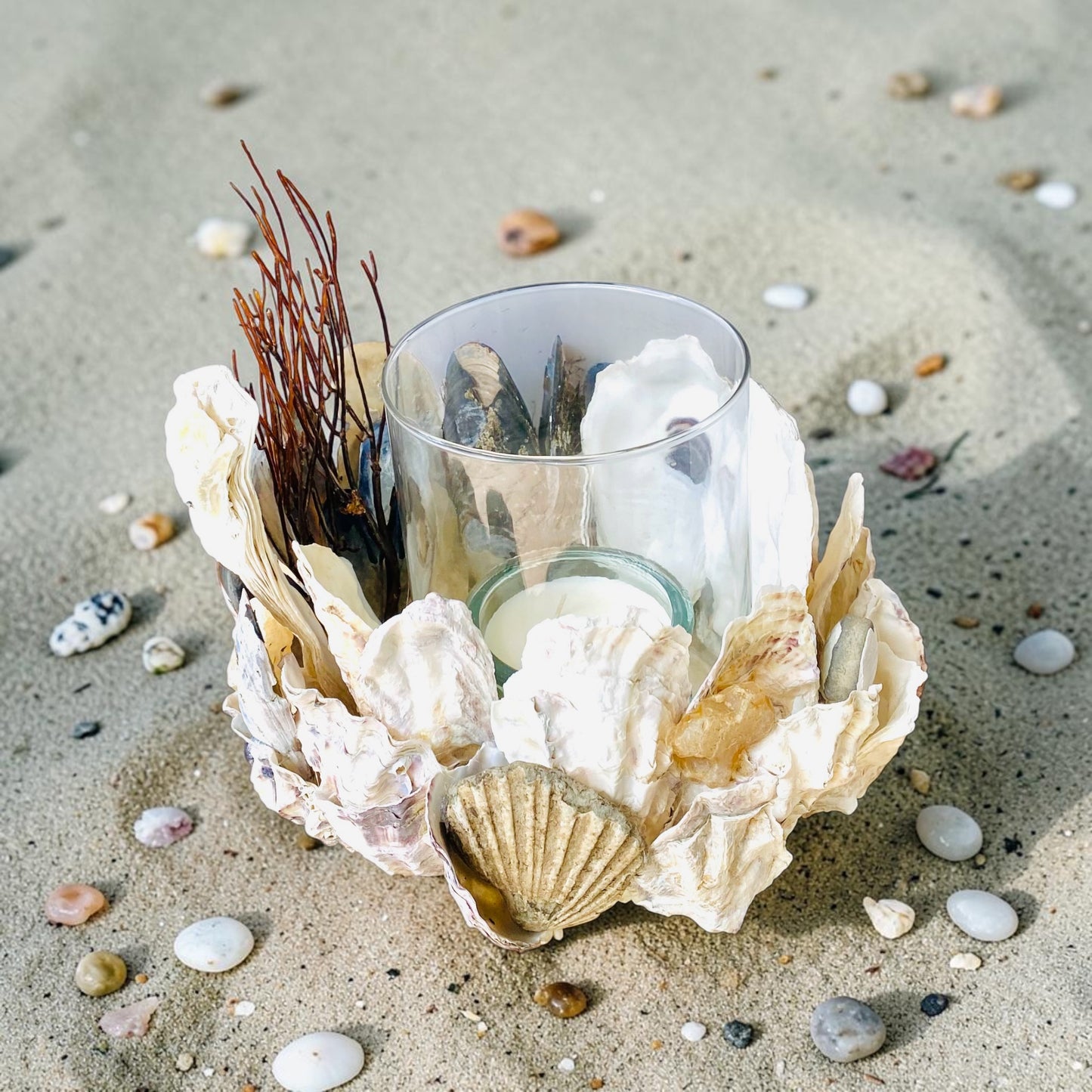 Large Shell Candle Holder, Oyster, Mussels & Fossil