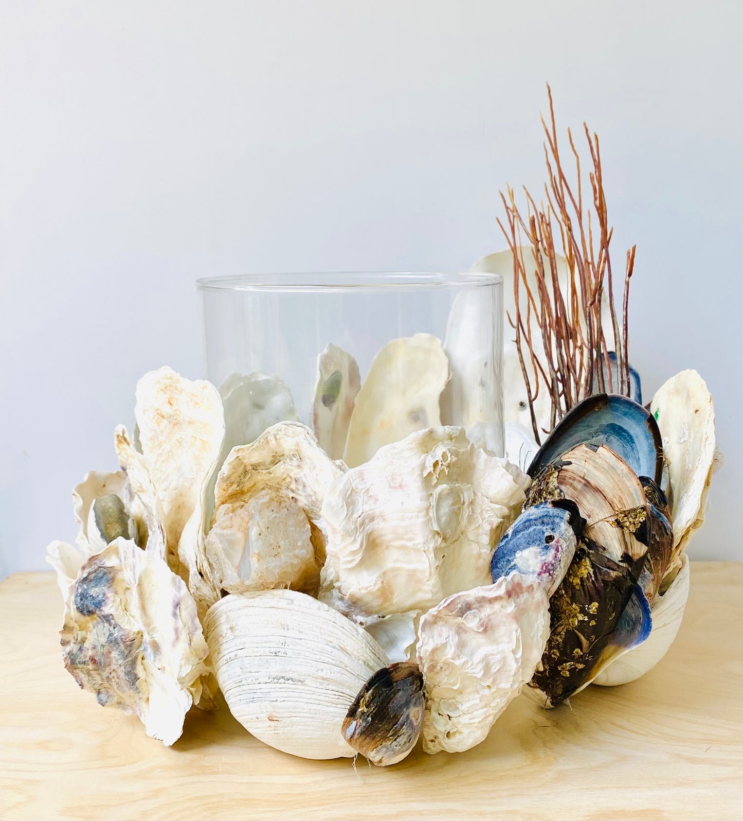 Large Shell Candle Holder, Oyster, Mussels & Fossil