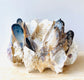 Mussel & Oyster Shell Candle Holder, Centerpiece
