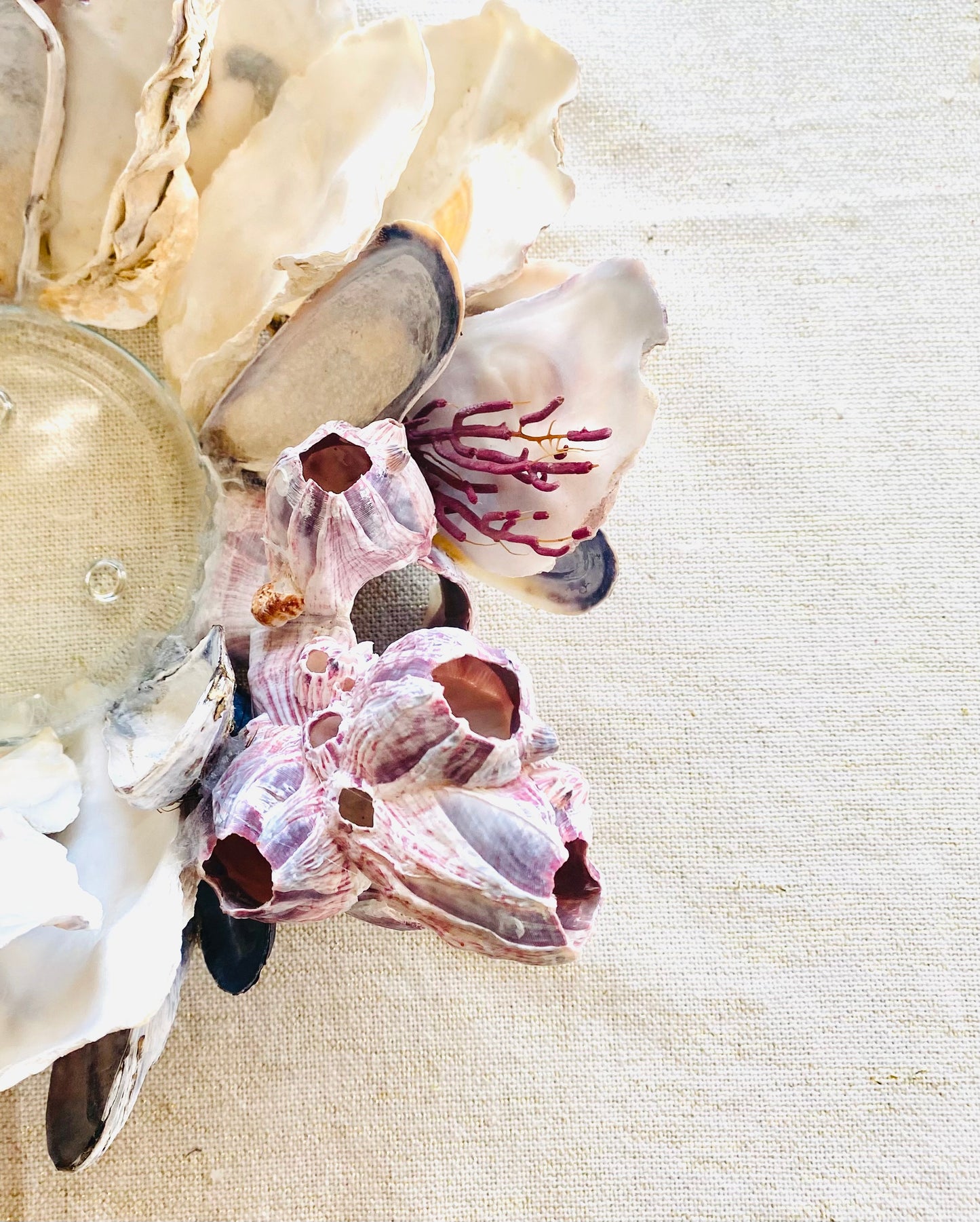 Purple Barnacle & Coral Candle Holder