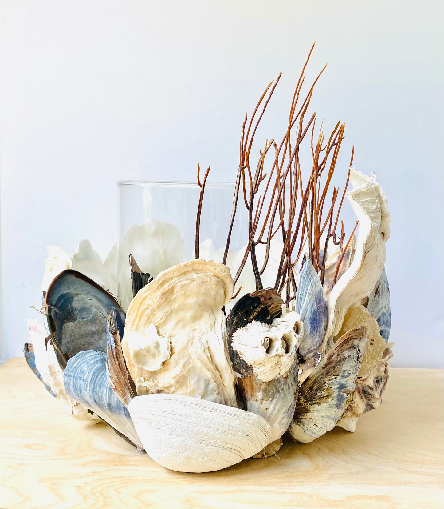 Large Shell Candle Holder, Oyster, Mussels & Fossil