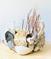 Large Shell Candle Holder, Oyster, Mussels & Fossil