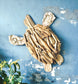 Large Driftwood & Oyster shell Sea Turtle, Driftwood Sculpture