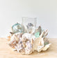 Spiral Shell & Glass Float Candle Holder, Shell Candle Holder