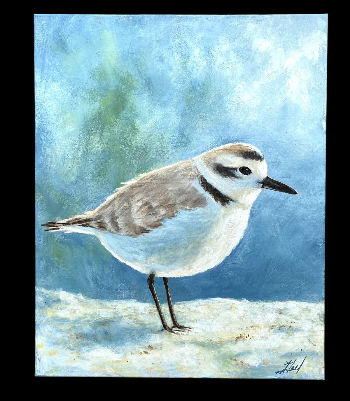 Western Snowy Plover Original Painting