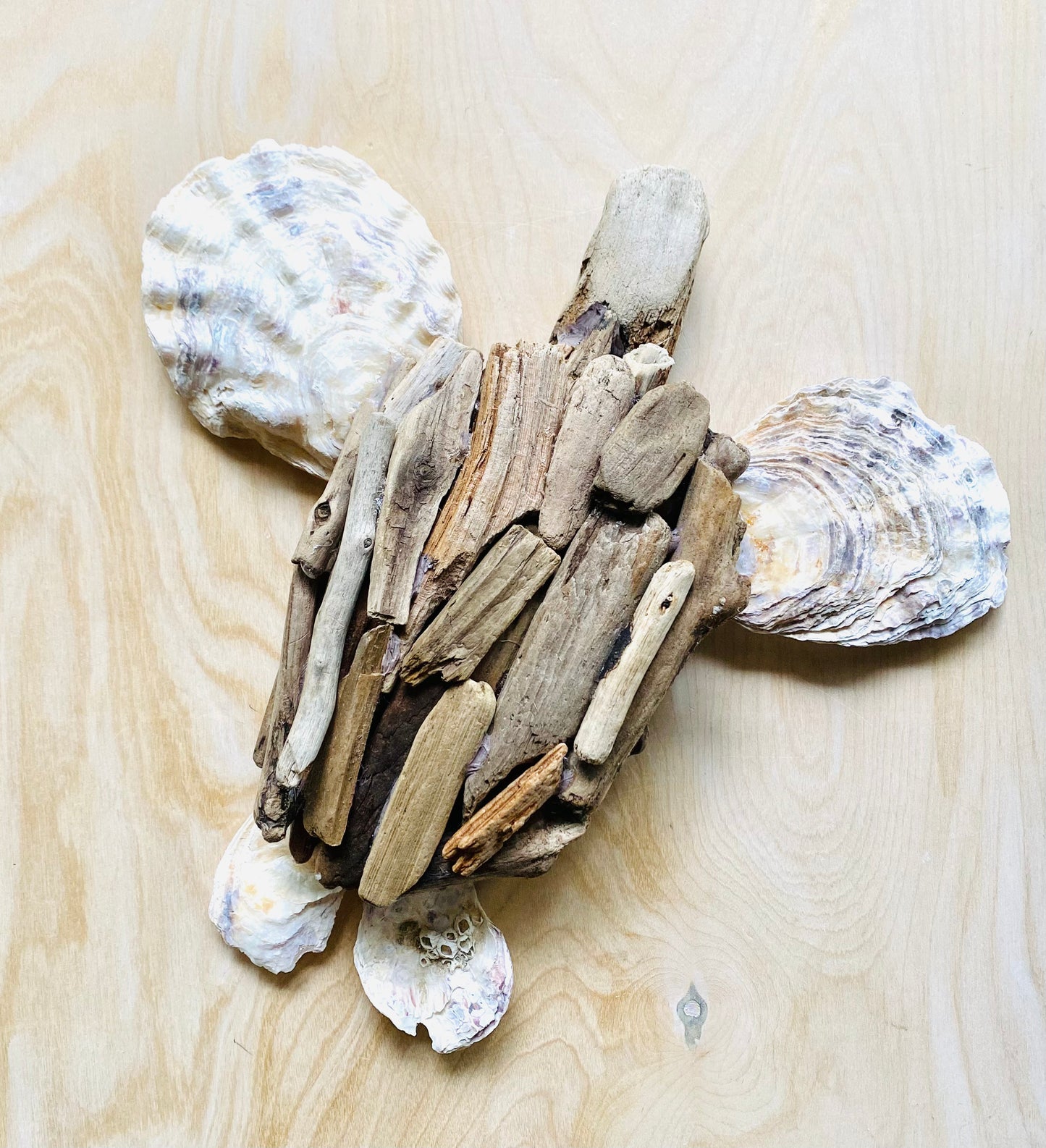 Driftwood & Oyster Sea Turtle, Driftwood Sculpture Med.