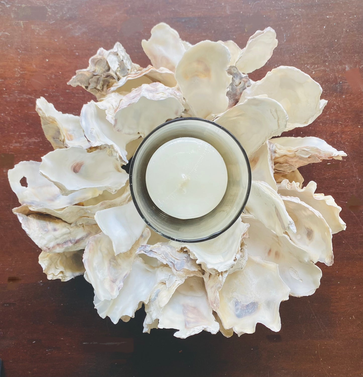 Fused Oysters, Shell Candle Holder