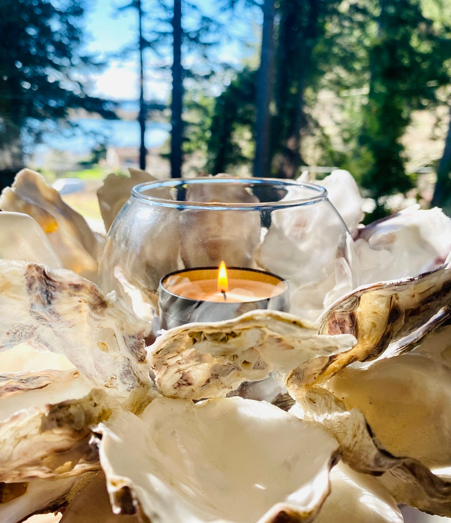 Oyster Shell Centerpiece with Round Insert, Shell Candle Holder