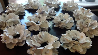 Votive Oyster Shell Candle Holder
