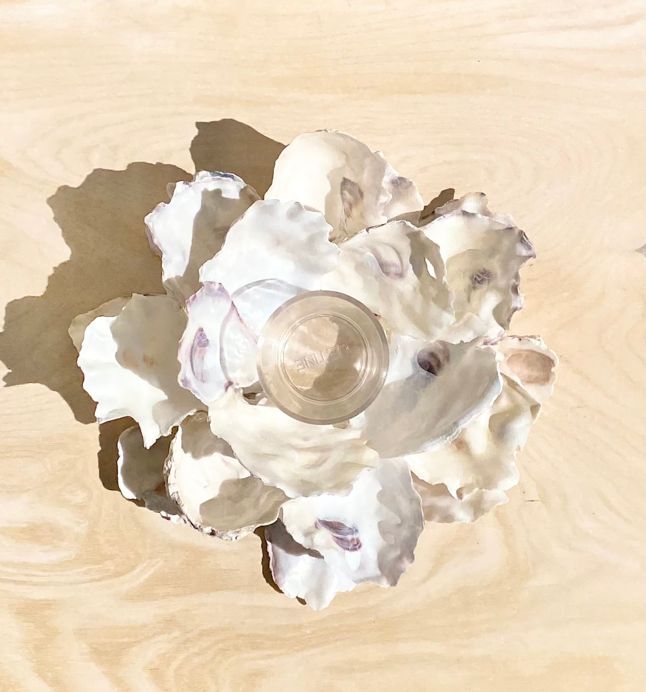 Votive Oyster Shell Candle Holder, Beach Centerpiece