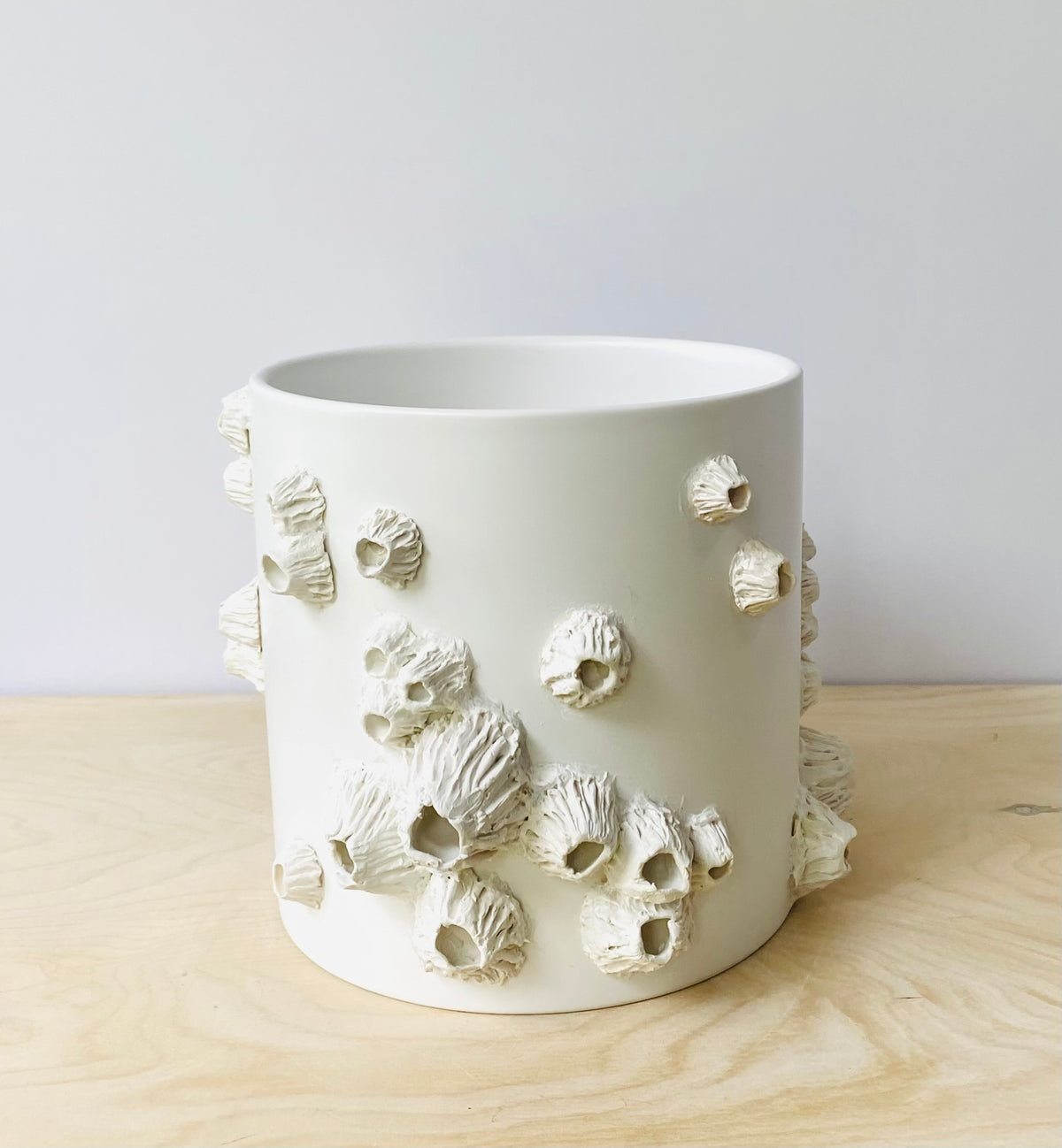 Barnacle Large Planter, Hand Decorated Container
