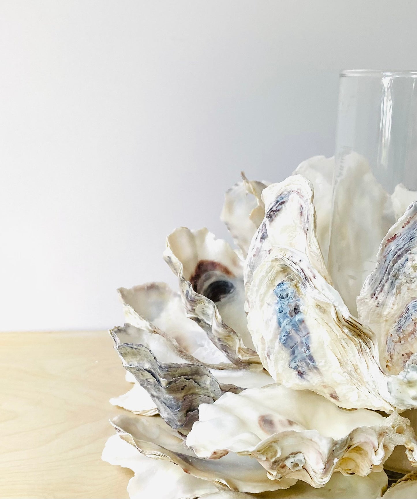 Large Oyster Shell Candle Holder, Beach Centerpiece