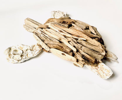 Large Driftwood & Oyster shell Sea Turtle
