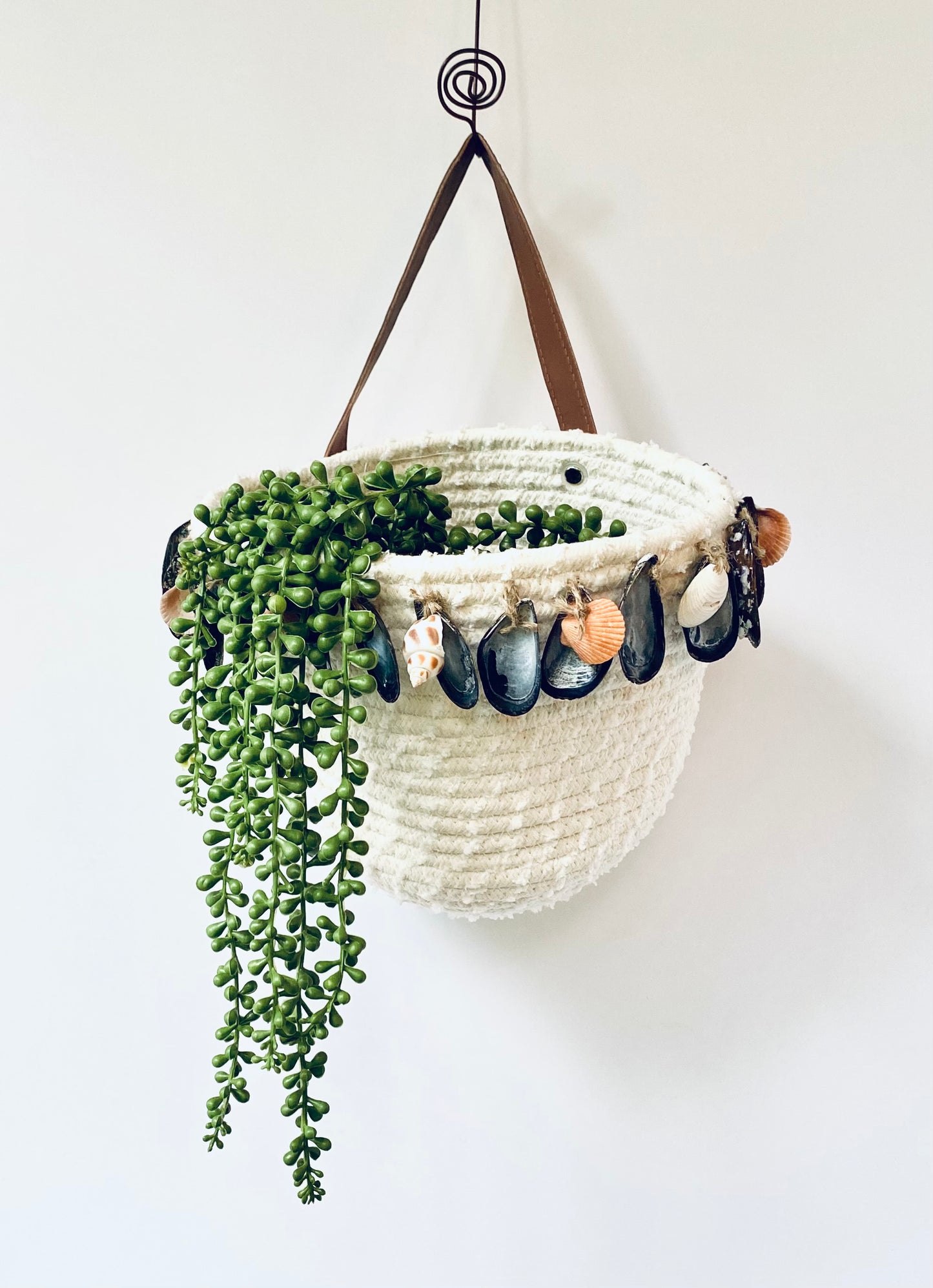 Seashell hanging basket, Storage Container