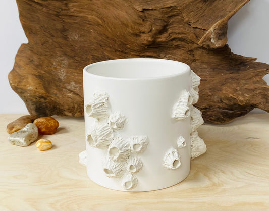 Original Barnacle Planter, Small Hand Decorated Container