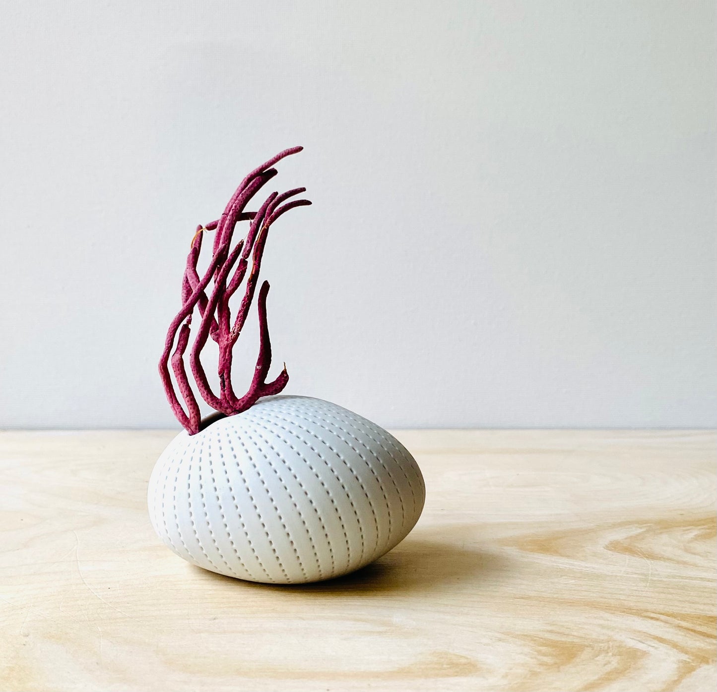 Tiny Urchin Vase, Bud Vase, Modern Beach Container