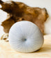 White Modern Vase, Sea Urchin Vase, Decorative Container Med.